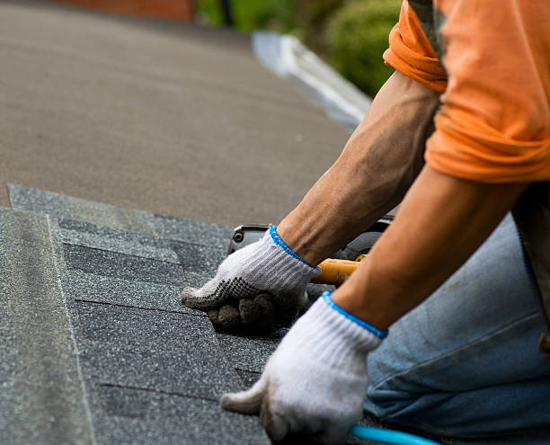 Best Roof Gutter Cleaning  in Hewlett, NY